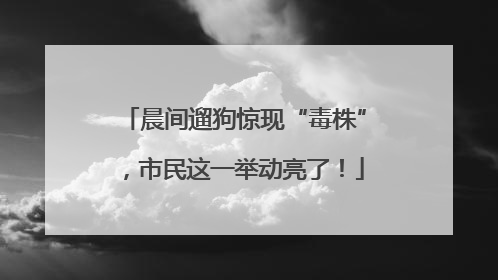 晨间遛狗惊现“毒株”，市民这一举动亮了！