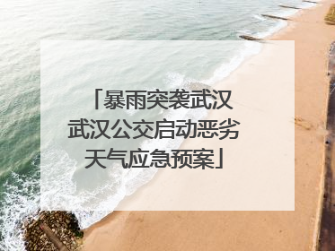 暴雨突袭武汉 武汉公交启动恶劣天气应急预案