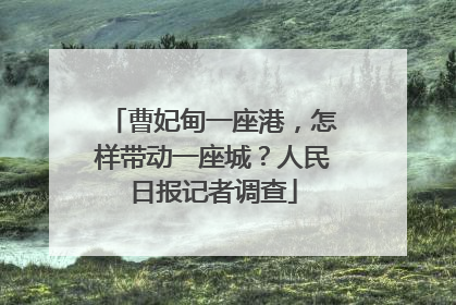 曹妃甸一座港，怎样带动一座城？人民日报记者调查