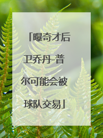 曝奇才后卫乔丹-普尔可能会被球队交易