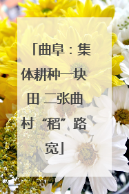 曲阜：集体耕种一块田 二张曲村“稻”路宽