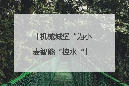 机械城堡“为小麦智能“控水“
