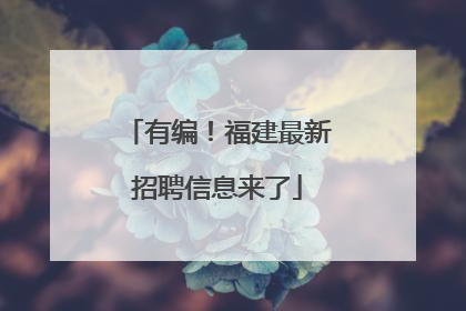 有编！福建最新招聘信息来了