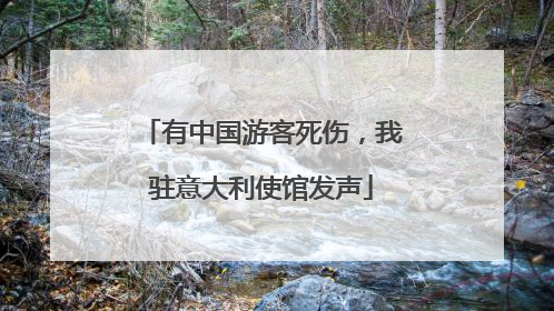 有中国游客死伤，我驻意大利使馆发声