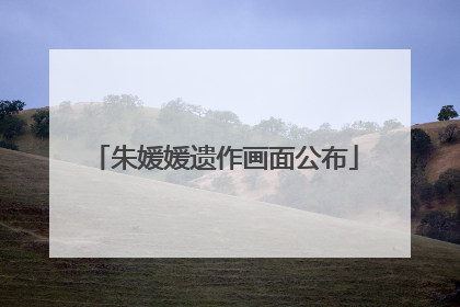 朱媛媛遗作画面公布