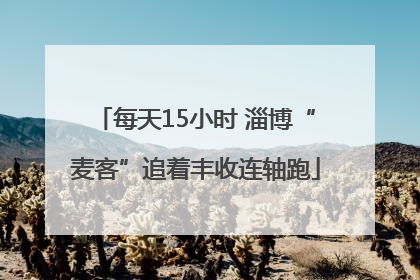 每天15小时 淄博“麦客”追着丰收连轴跑
