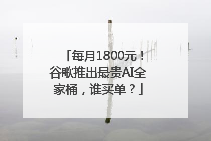 每月1800元！谷歌推出最贵AI全家桶，谁买单？