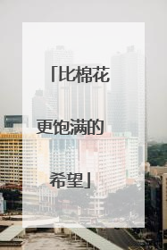 比棉花更饱满的希望