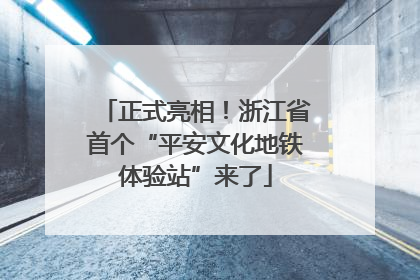 正式亮相！浙江省首个“平安文化地铁体验站”来了