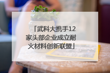 武科大携手12家头部企业成立耐火材料创新联盟