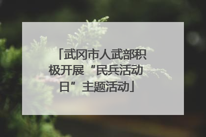 武冈市人武部积极开展“民兵活动日”主题活动