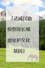 武威民勤检察保长城遗址护文化基因