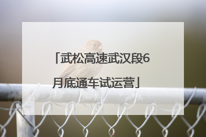 武松高速武汉段6月底通车试运营