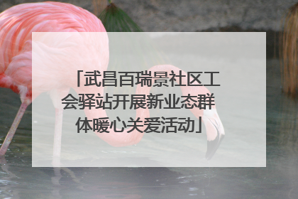 武昌百瑞景社区工会驿站开展新业态群体暖心关爱活动