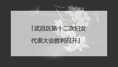 武昌区第十二次妇女代表大会胜利召开