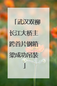 武汉双柳长江大桥主跨首片钢箱梁成功吊装