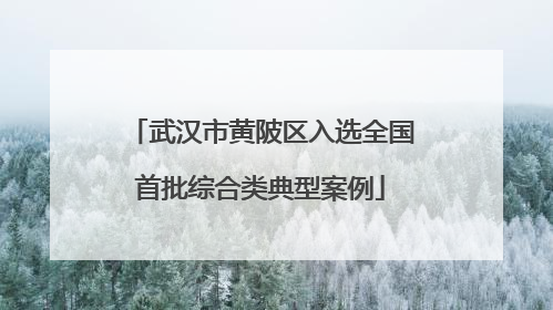 武汉市黄陂区入选全国首批综合类典型案例