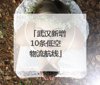 武汉新增10条低空物流航线