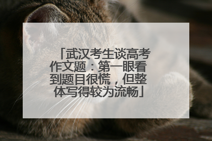 武汉考生谈高考作文题：第一眼看到题目很慌，但整体写得较为流畅