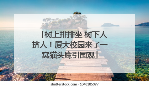 树上排排坐 树下人挤人！厦大校园来了一窝猫头鹰引围观