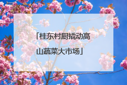 桂东村厨撬动高山蔬菜大市场