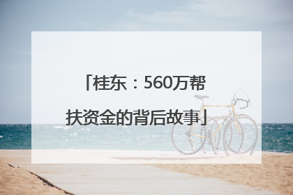 桂东：560万帮扶资金的背后故事