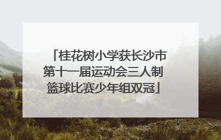 桂花树小学获长沙市第十一届运动会三人制篮球比赛少年组双冠