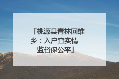 桃源县青林回维乡：入户查实情 监督保公平
