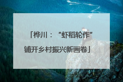 桦川：“虾稻轮作”铺开乡村振兴新画卷