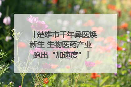 楚雄市千年彝医焕新生 生物医药产业跑出“加速度”
