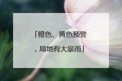 橙色、黄色预警，局地有大暴雨