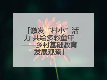 激发“村小”活力 共绘多彩童年——乡村基础教育发展观察