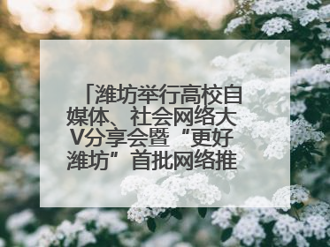 潍坊举行高校自媒体、社会网络大V分享会暨“更好潍坊”首批网络推介官聘任仪式