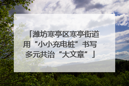 潍坊寒亭区寒亭街道用“小小充电桩”书写多元共治“大文章”