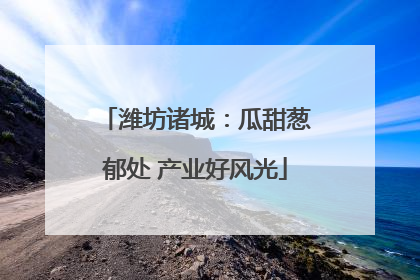 潍坊诸城：瓜甜葱郁处 产业好风光