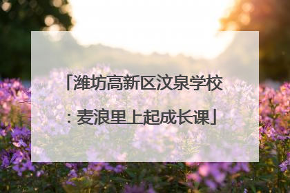 潍坊高新区汶泉学校：麦浪里上起成长课