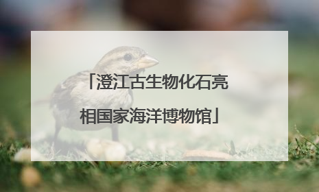 澄江古生物化石亮相国家海洋博物馆