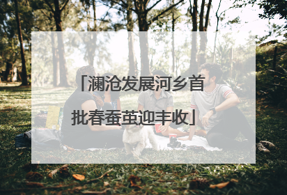 澜沧发展河乡首批春蚕茧迎丰收