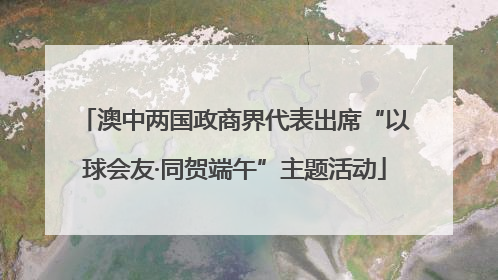 澳中两国政商界代表出席“以球会友·同贺端午”主题活动