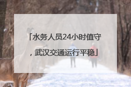 水务人员24小时值守，武汉交通运行平稳