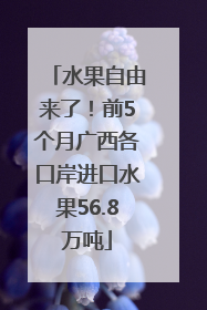 水果自由来了！前5个月广西各口岸进口水果56.8万吨