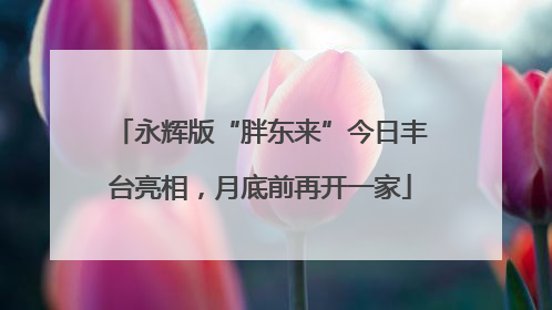 永辉版“胖东来”今日丰台亮相，月底前再开一家