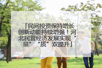 民间投资保持增长 创新动能持续增强！河北民营经济发展实现“量”“质”双提升