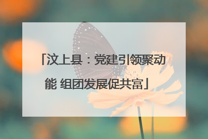 汶上县：党建引领聚动能 组团发展促共富