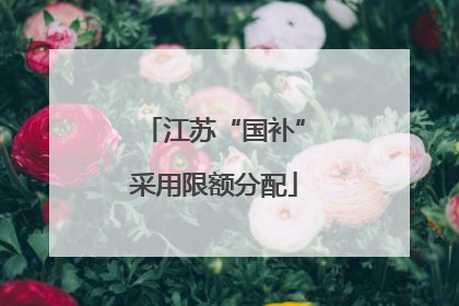 江苏“国补”采用限额分配