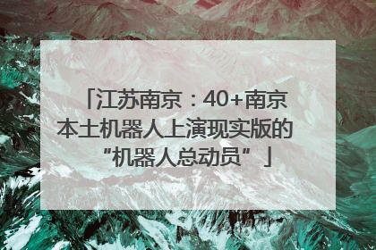 江苏南京：40+南京本土机器人上演现实版的“机器人总动员”