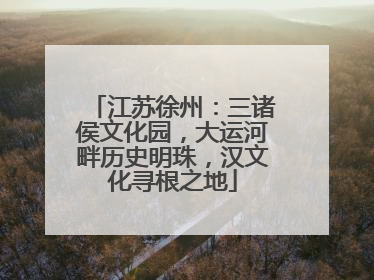 江苏徐州：三诸侯文化园，大运河畔历史明珠，汉文化寻根之地