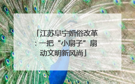 江苏阜宁婚俗改革：一把“小扇子”扇动文明新风尚
