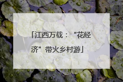 江西万载：“花经济”带火乡村游