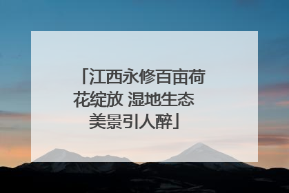 江西永修百亩荷花绽放 湿地生态美景引人醉